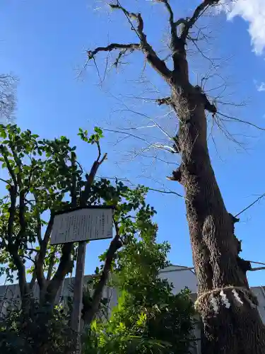 戸越八幡神社(東京都)