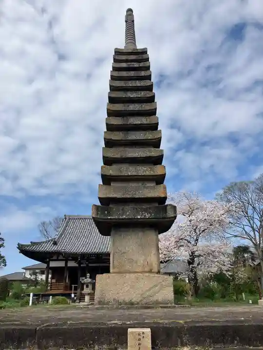 般若寺 ❁コスモス寺❁(奈良県)