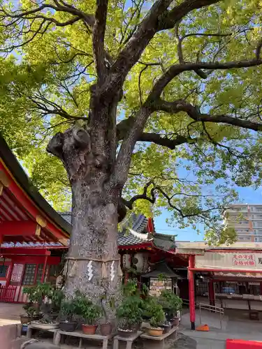 足の神様 服部天神宮(大阪府)