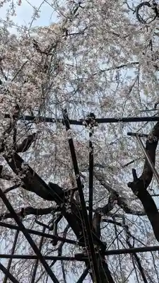 大報恩寺（千本釈迦堂）(京都府)