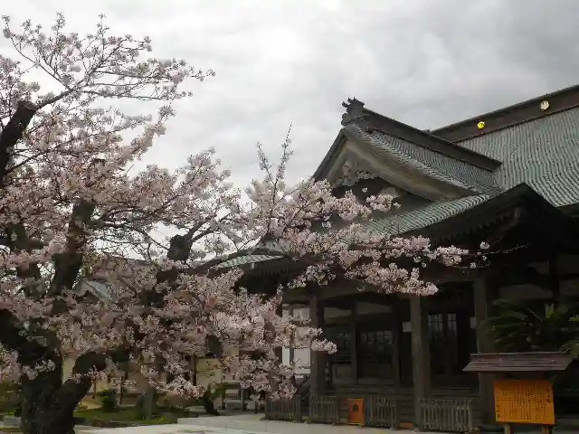 光明寺の本殿・本堂