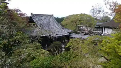 竹林院の本殿・本堂