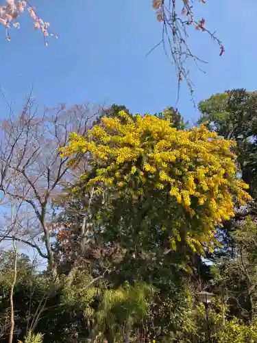 中院の{uncategorized: "未分類", other: "その他", undefined: "問題あり", building: "その他建物", grave: "お墓", sacred_gate: "鳥居", guardian: "狛犬", statue: "像", buddha: "仏像", history: "歴史", nature: "自然", garden: "庭園", animal: "動物", pagoda: "塔", temizu: "手水舎", mountain_gate: "山門・神門", sanctuary: "本殿・本堂", subordinate: "末社・摂社", art: "芸術", scenery: "景色", jizo: "地蔵", ema: "絵馬", goshuin: "御朱印", omikuji: "おみくじ", items: "授与品その他", amulet: "お守り", goshuincho: "御朱印帳", eats: "食事", festival: "お祭り", votive_dance: "神楽", shichigosan: "七五三参", wedding: "結婚式", experience: "体験その他", initially: "初詣", around: "周辺", anti_infection: "感染症対策"}