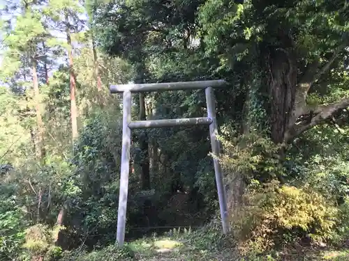 富士浅間神社の鳥居