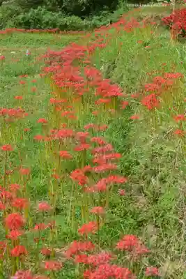 浄発願寺(神奈川県)