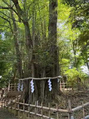 大國魂神社(東京都)