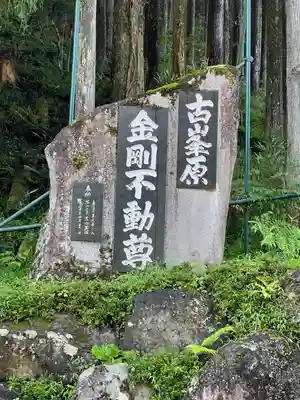 金剛山瑞峯寺(金剛不動尊) (栃木県)