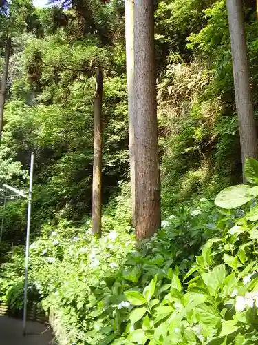 御霊神社の自然
