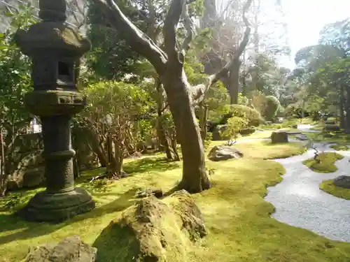 報国寺の庭園