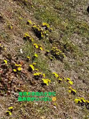 長屋神社(福島県)
