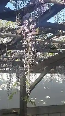 西方山極楽寺(岐阜県)