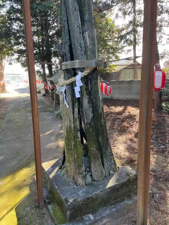 雷電神社(栃木県)