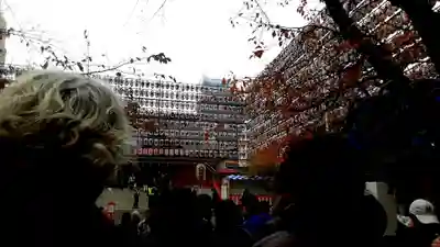 花園神社(東京都)