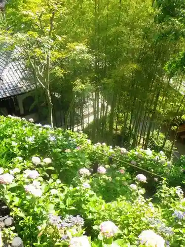 長谷寺のその他建物