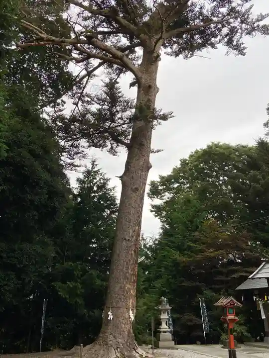 滑川神社 - 仕事と子どもの守り神のその他建物