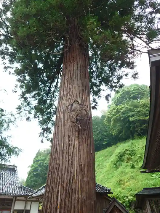 須我神社(島根県)