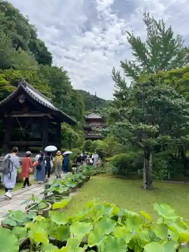 三室戸寺の{uncategorized: "未分類", other: "その他", undefined: "問題あり", building: "その他建物", grave: "お墓", sacred_gate: "鳥居", guardian: "狛犬", statue: "像", buddha: "仏像", history: "歴史", nature: "自然", garden: "庭園", animal: "動物", pagoda: "塔", temizu: "手水舎", mountain_gate: "山門・神門", sanctuary: "本殿・本堂", subordinate: "末社・摂社", art: "芸術", scenery: "景色", jizo: "地蔵", ema: "絵馬", goshuin: "御朱印", omikuji: "おみくじ", items: "授与品その他", amulet: "お守り", goshuincho: "御朱印帳", eats: "食事", festival: "お祭り", votive_dance: "神楽", shichigosan: "七五三参", wedding: "結婚式", experience: "体験その他", initially: "初詣", around: "周辺", anti_infection: "感染症対策"}