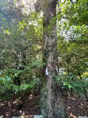 伊勢神社(栃木県)