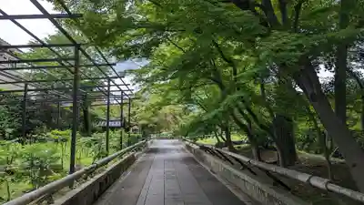 乙訓寺(京都府)