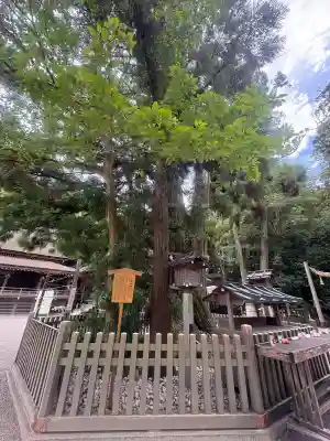 大神神社の{uncategorized: "未分類", other: "その他", undefined: "問題あり", building: "その他建物", grave: "お墓", sacred_gate: "鳥居", guardian: "狛犬", statue: "像", buddha: "仏像", history: "歴史", nature: "自然", garden: "庭園", animal: "動物", pagoda: "塔", temizu: "手水舎", mountain_gate: "山門・神門", sanctuary: "本殿・本堂", subordinate: "末社・摂社", art: "芸術", scenery: "景色", jizo: "地蔵", ema: "絵馬", goshuin: "御朱印", omikuji: "おみくじ", items: "授与品その他", amulet: "お守り", goshuincho: "御朱印帳", eats: "食事", festival: "お祭り", votive_dance: "神楽", shichigosan: "七五三参", wedding: "結婚式", experience: "体験その他", initially: "初詣", around: "周辺", anti_infection: "感染症対策"}