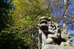 神炊館神社 ⁂奥州須賀川総鎮守⁂の狛犬