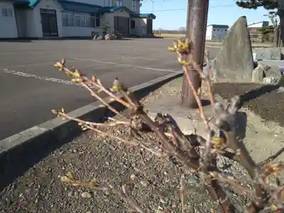 雨竜　専福寺(北海道)