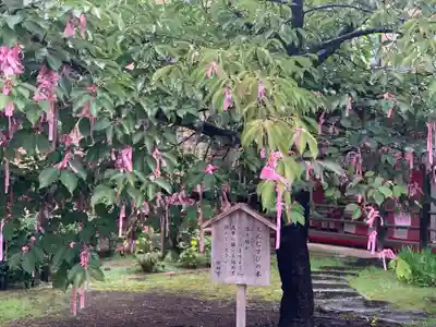 桜神宮のその他建物