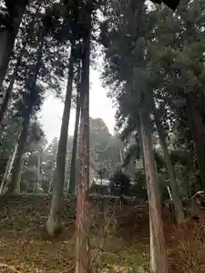 大宮温泉神社(栃木県)(2023年03月24日(金) 06時59分28秒投稿)