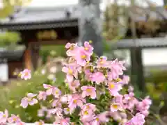 平福寺(長野県)