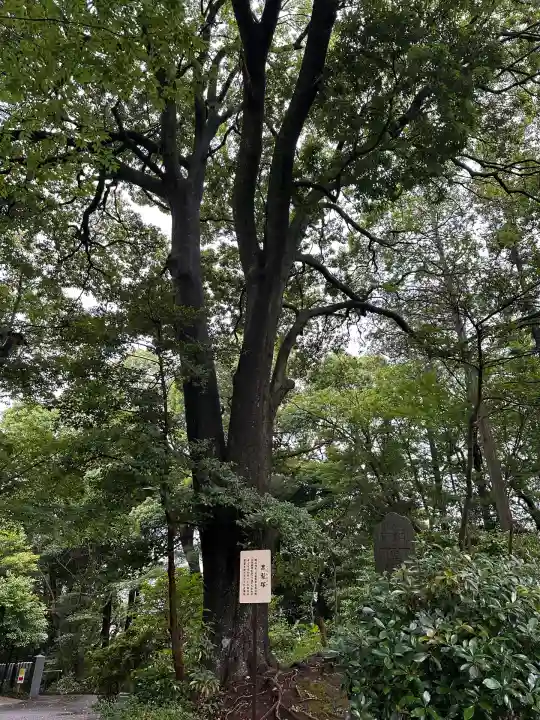 柴崎神社(千葉県)