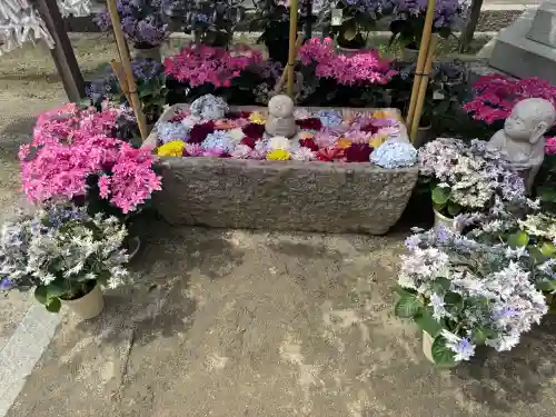 岡寺（龍蓋寺）の{uncategorized: "未分類", other: "その他", undefined: "問題あり", building: "その他建物", grave: "お墓", sacred_gate: "鳥居", guardian: "狛犬", statue: "像", buddha: "仏像", history: "歴史", nature: "自然", garden: "庭園", animal: "動物", pagoda: "塔", temizu: "手水舎", mountain_gate: "山門・神門", sanctuary: "本殿・本堂", subordinate: "末社・摂社", art: "芸術", scenery: "景色", jizo: "地蔵", ema: "絵馬", goshuin: "御朱印", omikuji: "おみくじ", items: "授与品その他", amulet: "お守り", goshuincho: "御朱印帳", eats: "食事", festival: "お祭り", votive_dance: "神楽", shichigosan: "七五三参", wedding: "結婚式", experience: "体験その他", initially: "初詣", around: "周辺", anti_infection: "感染症対策"}