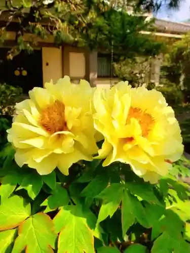 圓照寺(東京都)
