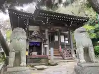 星井寺(虚空蔵堂)の狛犬