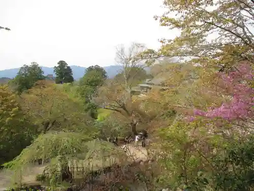 竹林院の景色