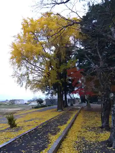 五社神社(滋賀県)