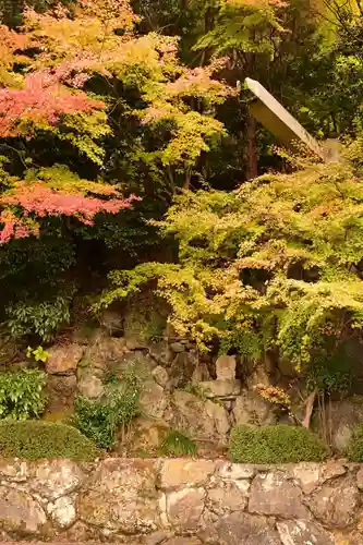 善峯寺(京都府)