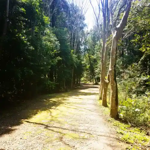 鹿島神宮の自然