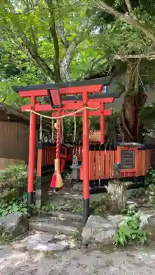 金剛稲荷神社の鳥居