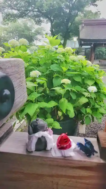 尾張大國霊神社(国府宮)の自然