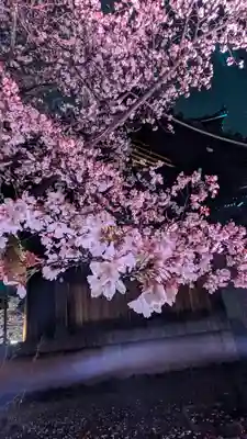 知恩院(京都府)