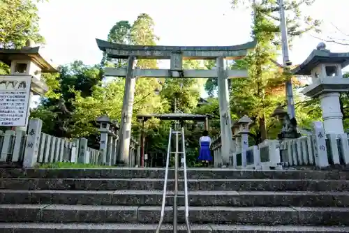 針綱神社の鳥居