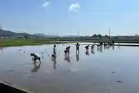 手力雄神社の体験その他