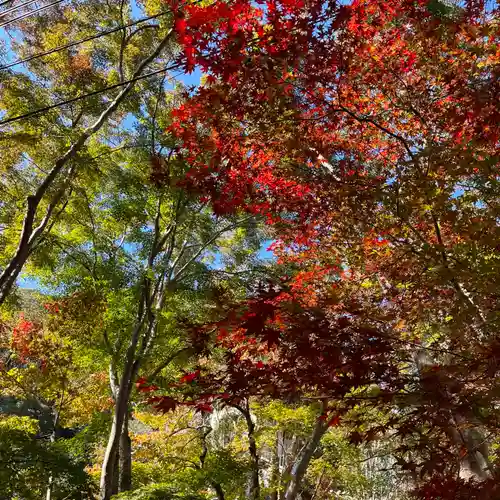 神峯山寺(大阪府)
