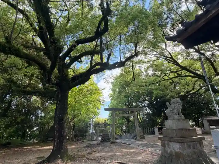七所神社の{uncategorized: "未分類", other: "その他", undefined: "問題あり", building: "その他建物", grave: "お墓", sacred_gate: "鳥居", guardian: "狛犬", statue: "像", buddha: "仏像", history: "歴史", nature: "自然", garden: "庭園", animal: "動物", pagoda: "塔", temizu: "手水舎", mountain_gate: "山門・神門", sanctuary: "本殿・本堂", subordinate: "末社・摂社", art: "芸術", scenery: "景色", jizo: "地蔵", ema: "絵馬", goshuin: "御朱印", omikuji: "おみくじ", items: "授与品その他", amulet: "お守り", goshuincho: "御朱印帳", eats: "食事", festival: "お祭り", votive_dance: "神楽", shichigosan: "七五三参", wedding: "結婚式", experience: "体験その他", initially: "初詣", around: "周辺", anti_infection: "感染症対策"}