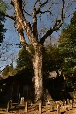 下野八幡大神社(宮崎県)