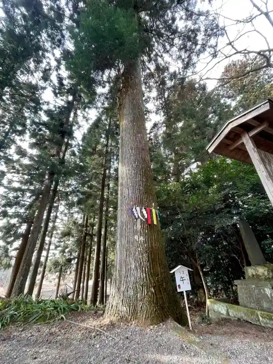 岩戸別神社の{uncategorized: "未分類", other: "その他", undefined: "問題あり", building: "その他建物", grave: "お墓", sacred_gate: "鳥居", guardian: "狛犬", statue: "像", buddha: "仏像", history: "歴史", nature: "自然", garden: "庭園", animal: "動物", pagoda: "塔", temizu: "手水舎", mountain_gate: "山門・神門", sanctuary: "本殿・本堂", subordinate: "末社・摂社", art: "芸術", scenery: "景色", jizo: "地蔵", ema: "絵馬", goshuin: "御朱印", omikuji: "おみくじ", items: "授与品その他", amulet: "お守り", goshuincho: "御朱印帳", eats: "食事", festival: "お祭り", votive_dance: "神楽", shichigosan: "七五三参", wedding: "結婚式", experience: "体験その他", initially: "初詣", around: "周辺", anti_infection: "感染症対策"}
