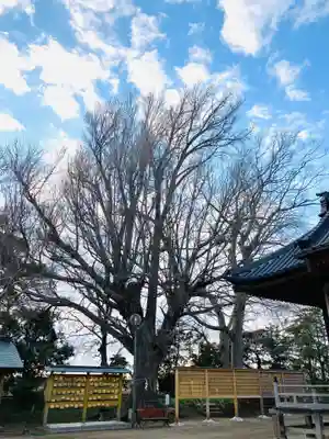 白子神社(千葉県)