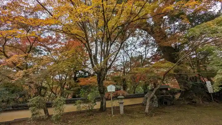 十輪寺(京都府)