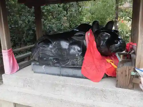 北野天満宮の狛犬