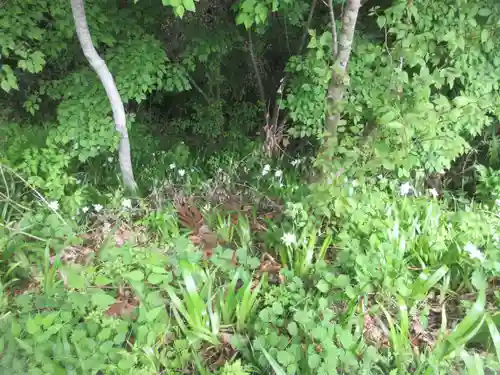 秩父大神社(埼玉県)